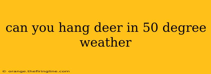 can you hang deer in 50 degree weather