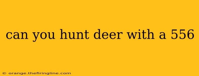 can you hunt deer with a 556