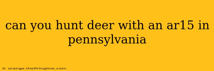 can you hunt deer with an ar15 in pennsylvania