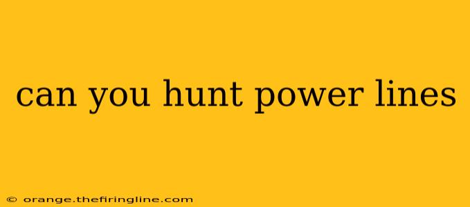 can you hunt power lines