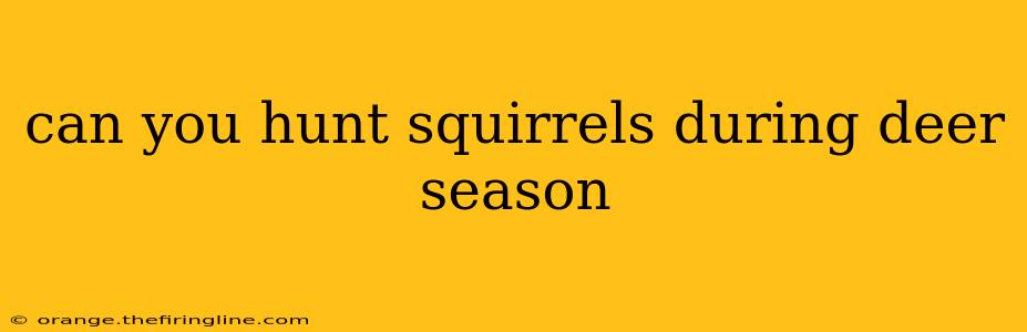 can you hunt squirrels during deer season