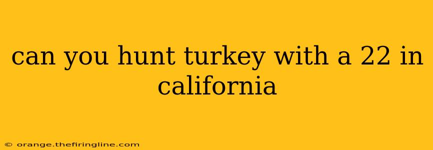 can you hunt turkey with a 22 in california