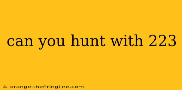 can you hunt with 223