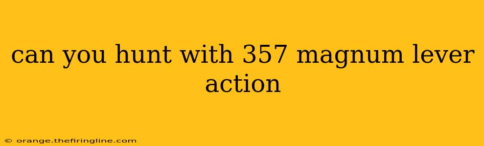 can you hunt with 357 magnum lever action