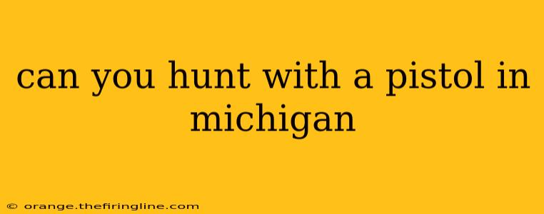 can you hunt with a pistol in michigan