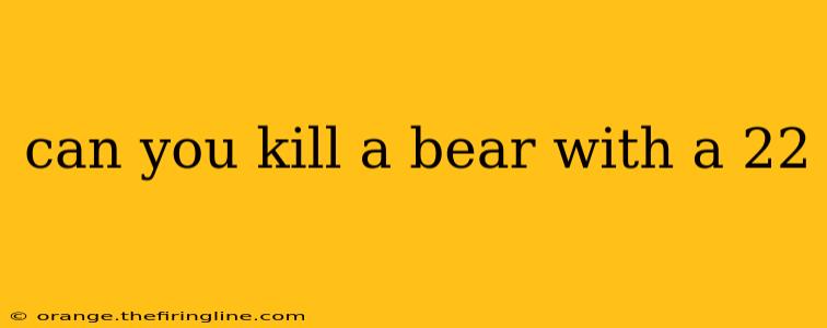 can you kill a bear with a 22