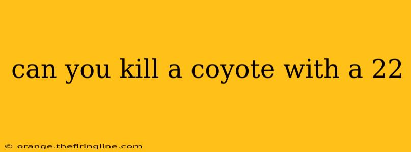 can you kill a coyote with a 22