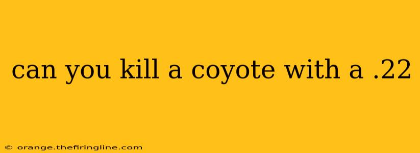 can you kill a coyote with a .22