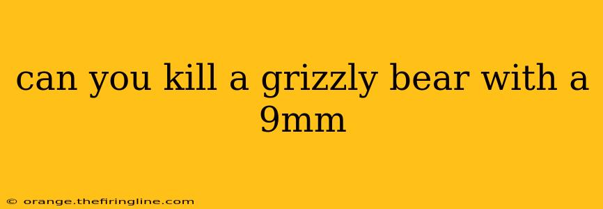 can you kill a grizzly bear with a 9mm