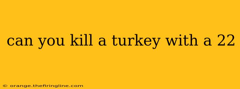 can you kill a turkey with a 22