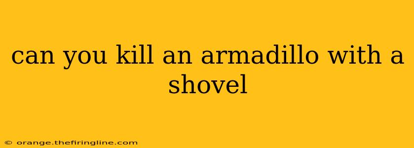 can you kill an armadillo with a shovel