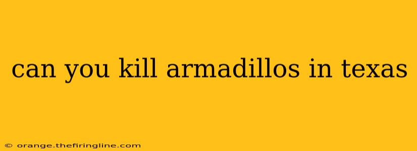 can you kill armadillos in texas