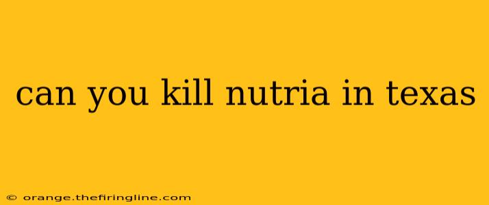 can you kill nutria in texas