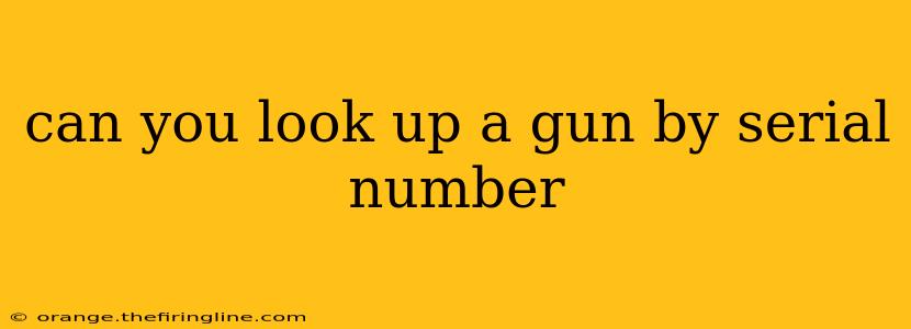 can you look up a gun by serial number