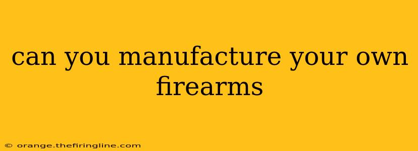 can you manufacture your own firearms