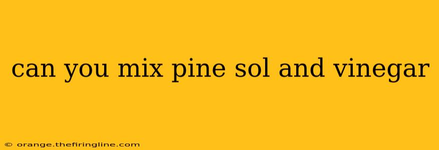 can you mix pine sol and vinegar