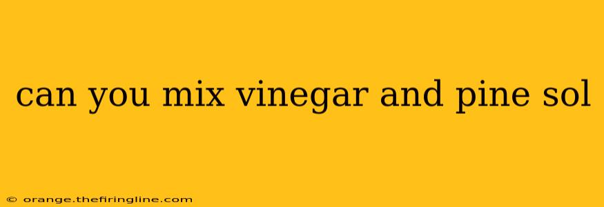 can you mix vinegar and pine sol