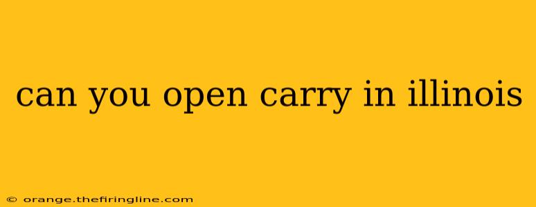 can you open carry in illinois