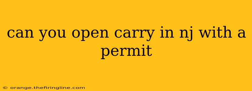 can you open carry in nj with a permit