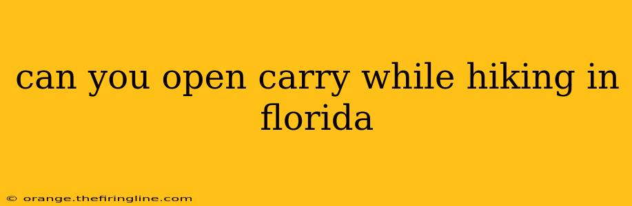 can you open carry while hiking in florida