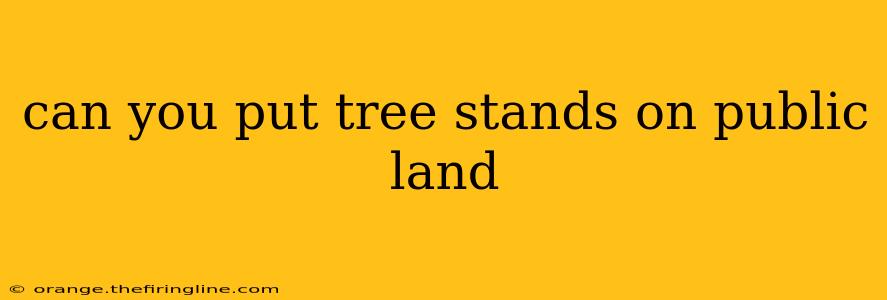 can you put tree stands on public land