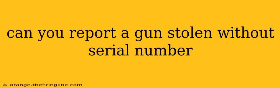 can you report a gun stolen without serial number