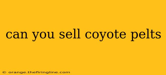 can you sell coyote pelts