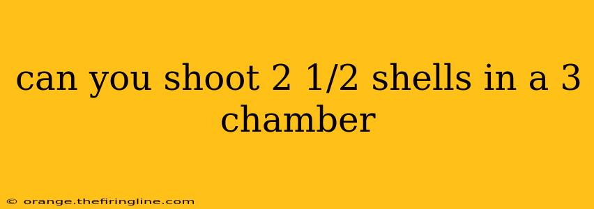 can you shoot 2 1/2 shells in a 3 chamber