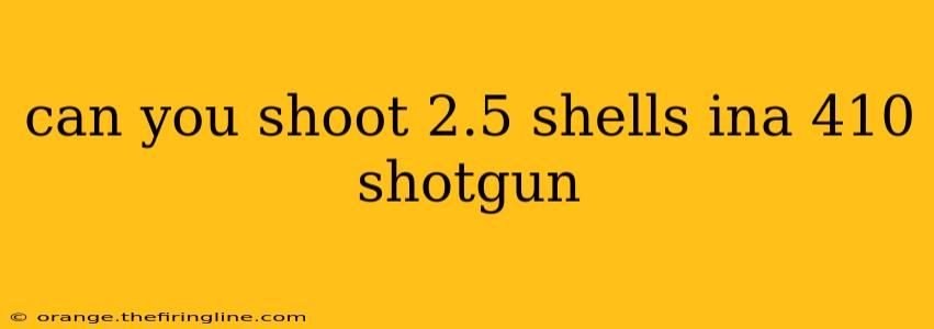 can you shoot 2.5 shells ina 410 shotgun