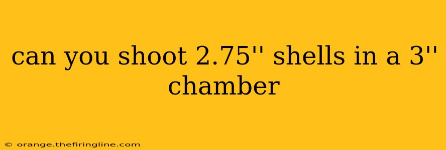 can you shoot 2.75'' shells in a 3'' chamber