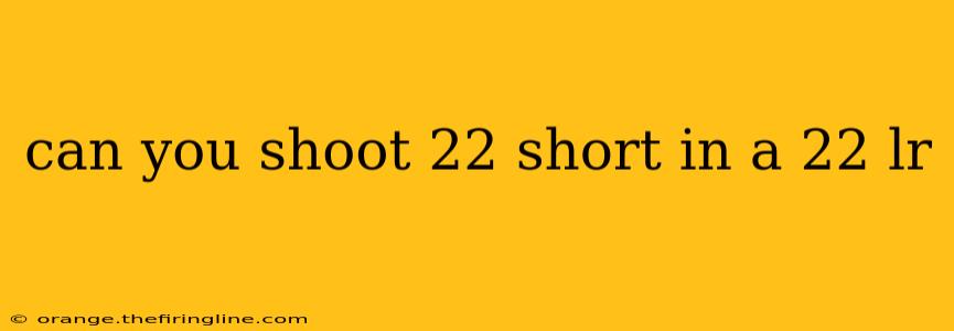 can you shoot 22 short in a 22 lr