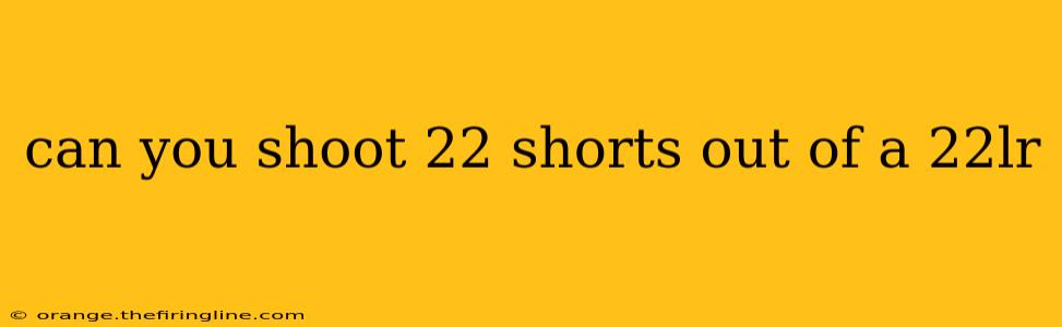 can you shoot 22 shorts out of a 22lr