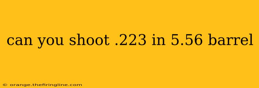 can you shoot .223 in 5.56 barrel