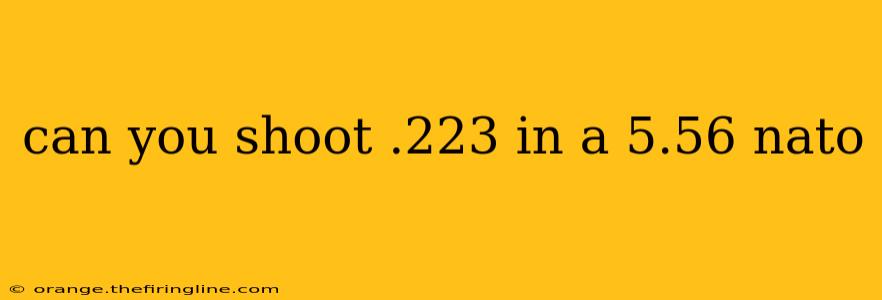 can you shoot .223 in a 5.56 nato