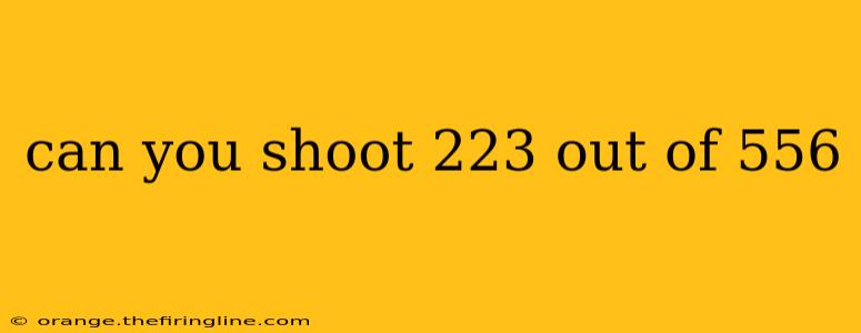 can you shoot 223 out of 556