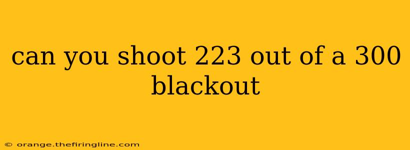 can you shoot 223 out of a 300 blackout