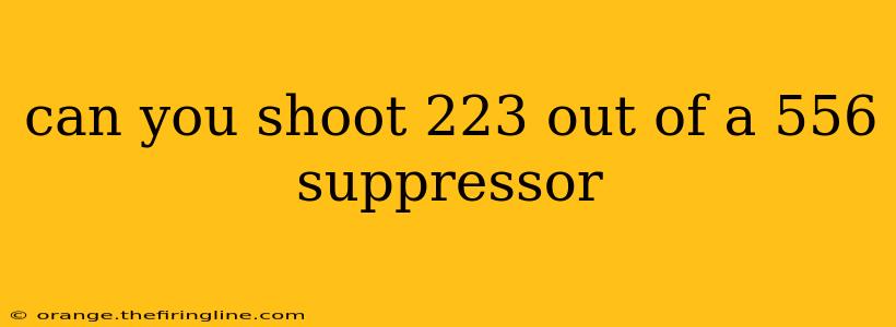 can you shoot 223 out of a 556 suppressor