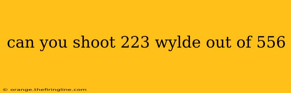 can you shoot 223 wylde out of 556