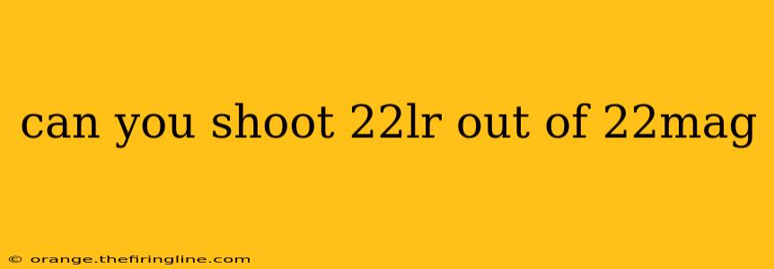 can you shoot 22lr out of 22mag