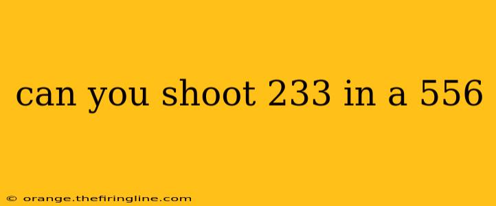 can you shoot 233 in a 556