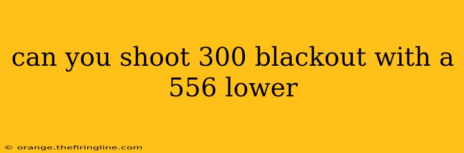 can you shoot 300 blackout with a 556 lower