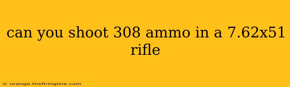 can you shoot 308 ammo in a 7.62x51 rifle