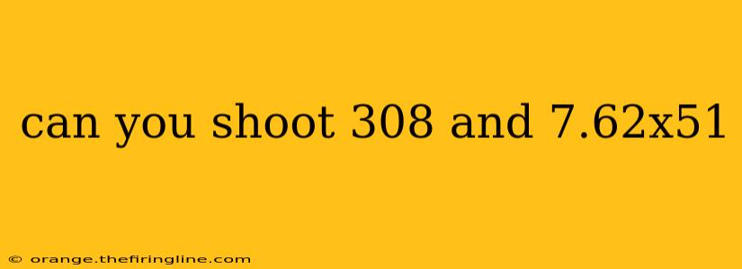 can you shoot 308 and 7.62x51