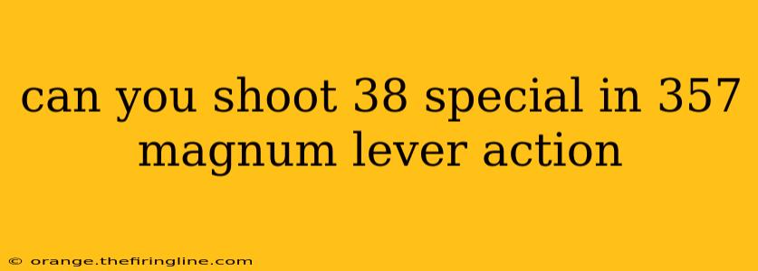 can you shoot 38 special in 357 magnum lever action