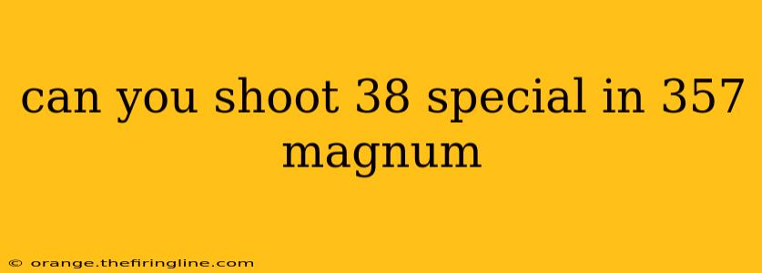 can you shoot 38 special in 357 magnum