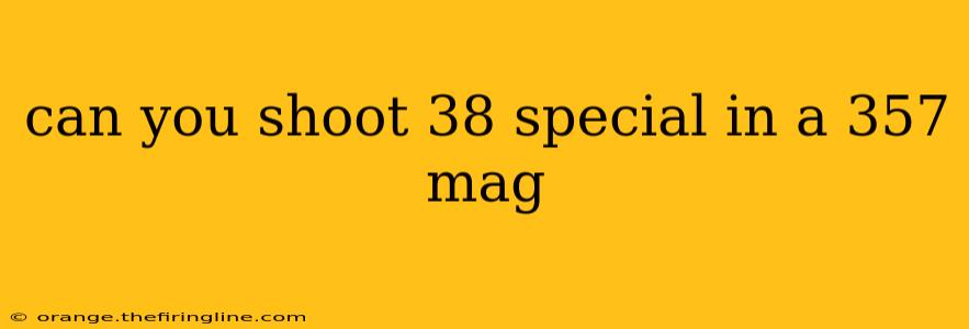 can you shoot 38 special in a 357 mag