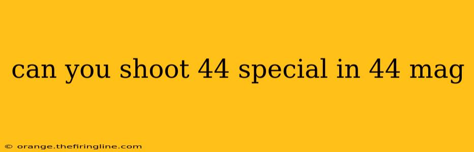 can you shoot 44 special in 44 mag