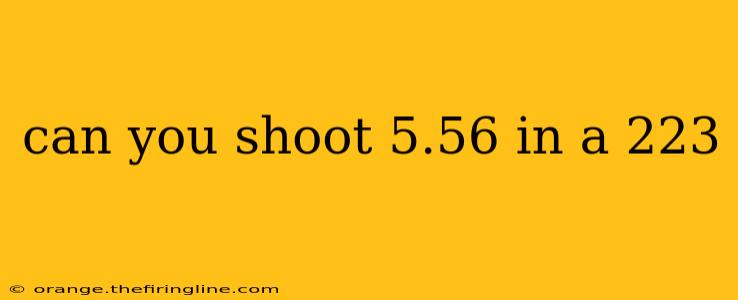 can you shoot 5.56 in a 223