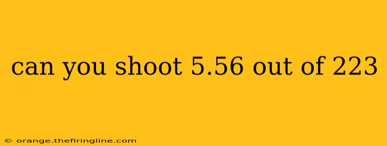 can you shoot 5.56 out of 223