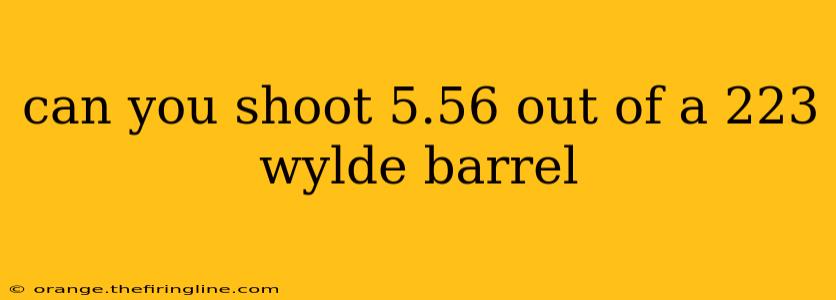 can you shoot 5.56 out of a 223 wylde barrel